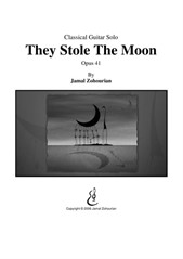 They Stole The Moon